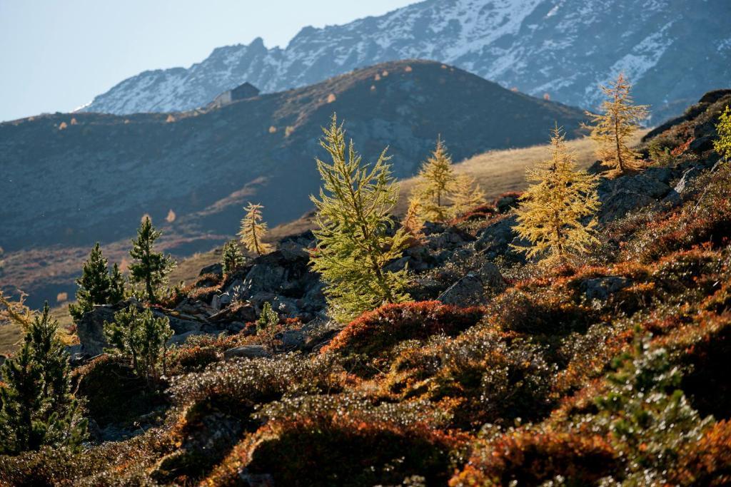 Ad Laca See Dış mekan fotoğraf
